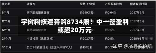 宇树科技遭弃购8734股!中一签盈利或超20万元-第3张图片
