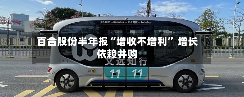 百合股份半年报“增收不增利” 增长依赖并购-第2张图片