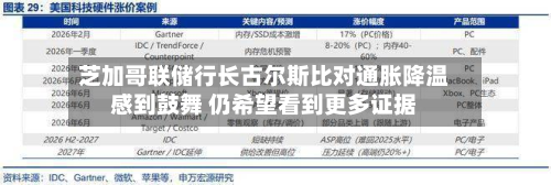 芝加哥联储行长古尔斯比对通胀降温感到鼓舞 仍希望看到更多证据