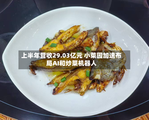 上半年营收29.03亿元 小菜园加速布局AI和炒菜机器人-第3张图片