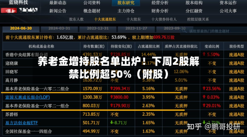 养老金增持股名单出炉!下周2股解禁比例超50%(附股)-第2张图片