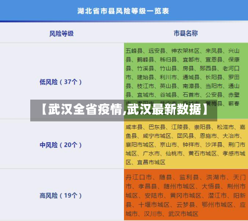 【武汉全省疫情,武汉最新数据】-第2张图片