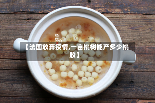 【法国放弃疫情,一亩桃树能产多少桃胶】